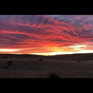 Meet your Posher, Marci